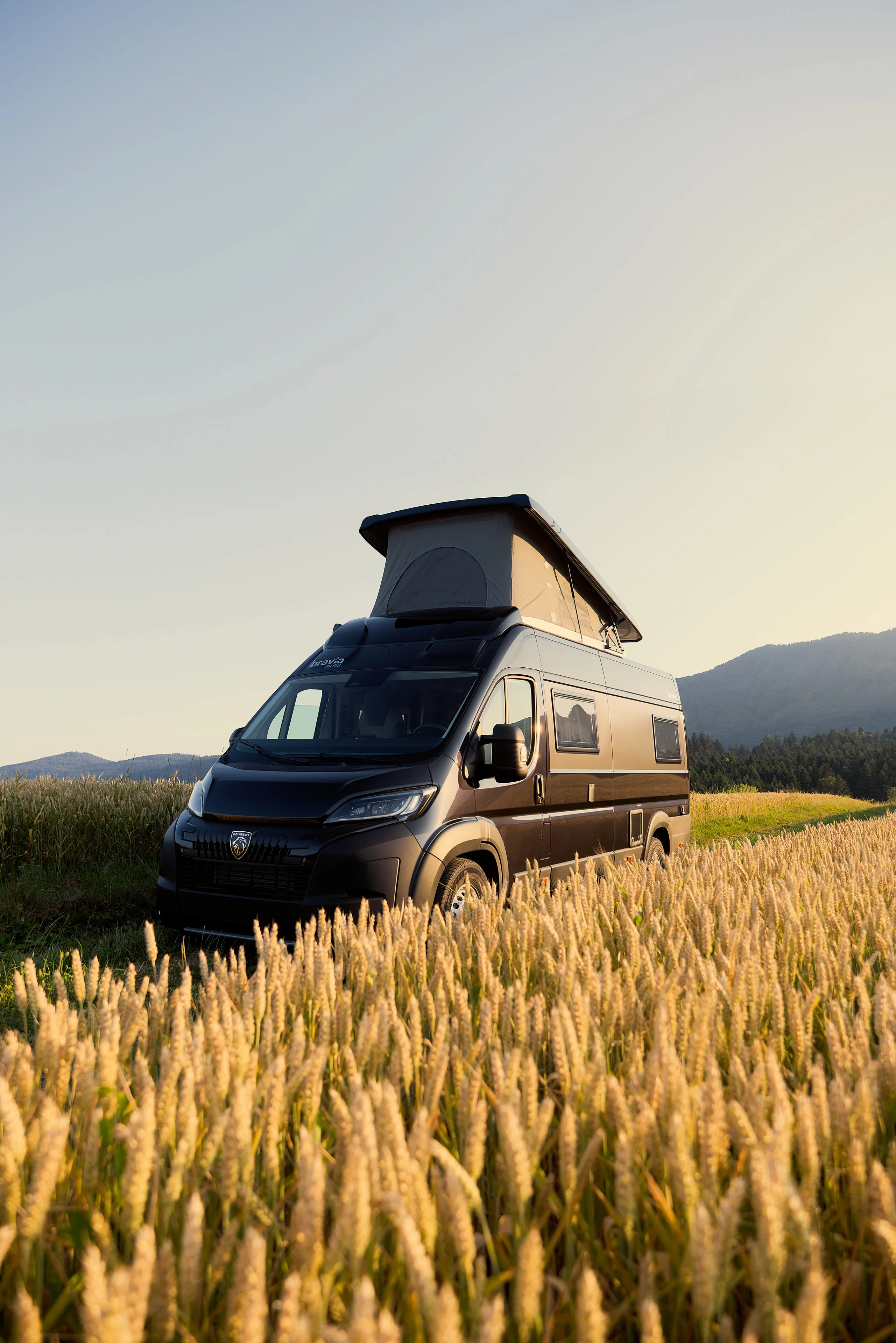 Schwarzer FiveStarCamper im goldenen Weizenfeld mit Bergpanorama bei Sonnenuntergang